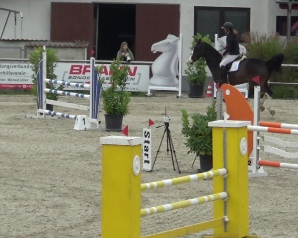 Reitturnier Achern 2024