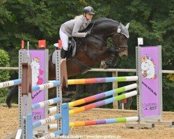 jumper Catania 143 (German Sport Horse, 2015, from Cassilano)