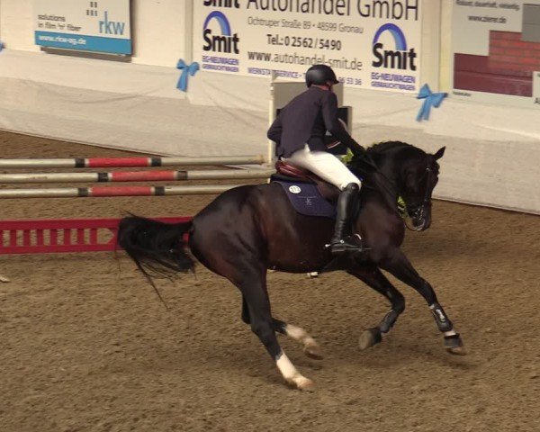 Reitturnier Gronau 2024