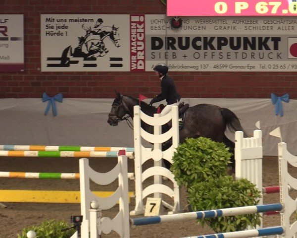 Reitturnier Gronau 2024