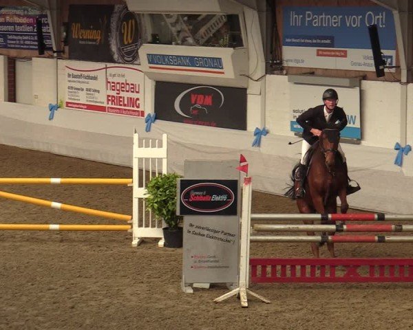 Reitturnier Gronau 2024