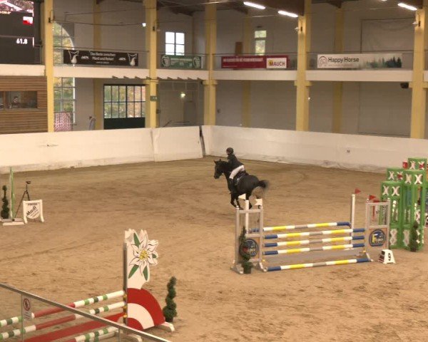 Reitturnier Stadl-Paura 2024