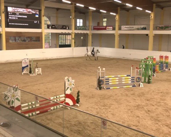 Reitturnier Stadl-Paura 2024