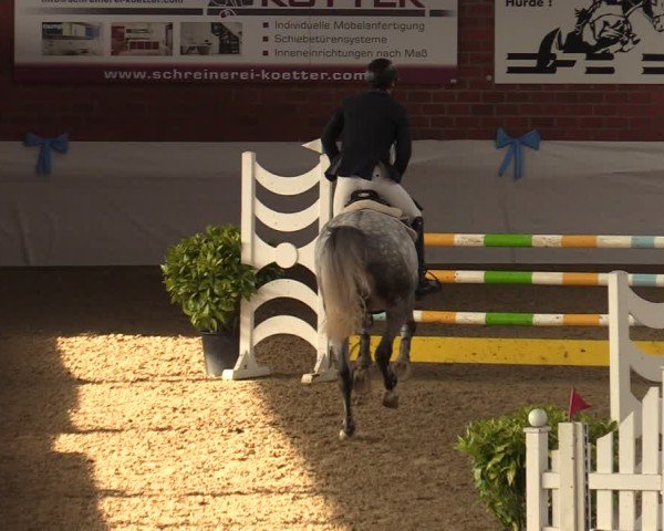 Reitturnier Gronau 2024