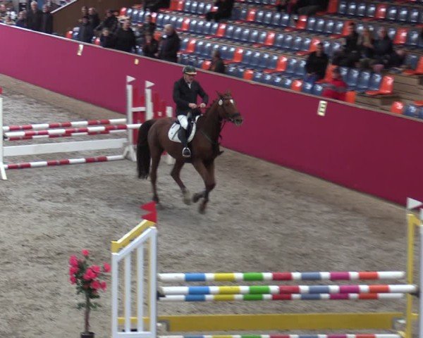 Reitturnier Krumke 2024