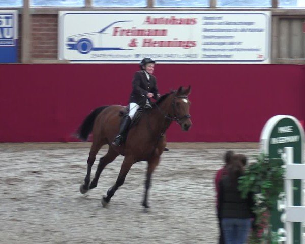 Reitturnier Krumke 2024