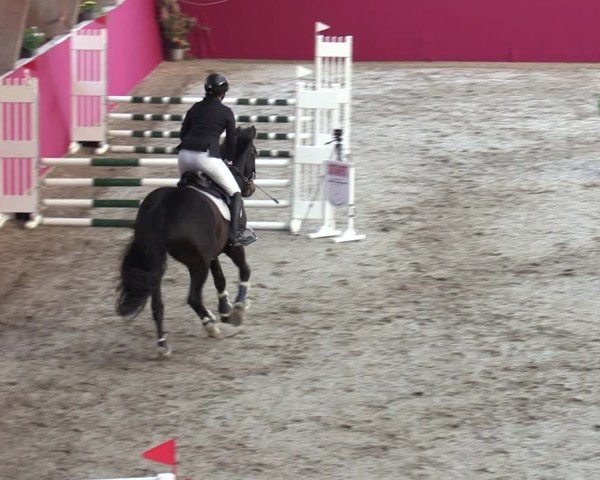 Reitturnier Krumke 2024