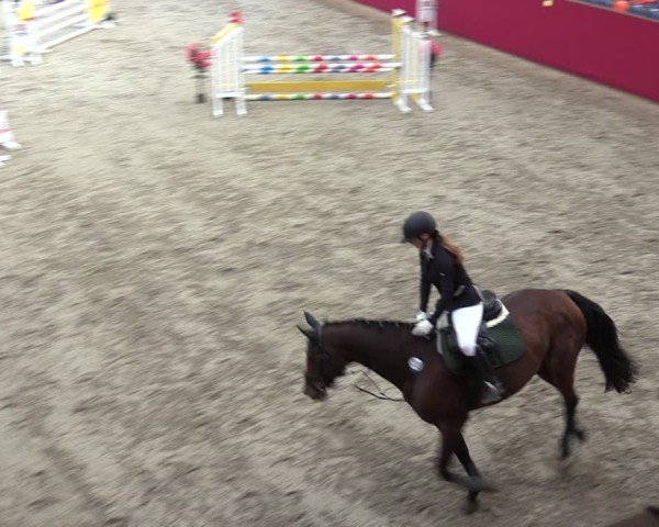 Reitturnier Krumke 2024