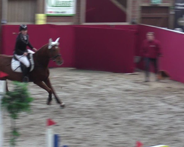 Reitturnier Krumke 2024