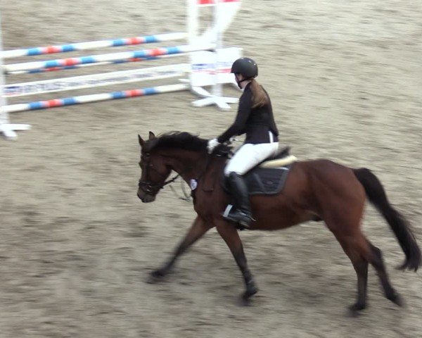 Reitturnier Krumke 2024