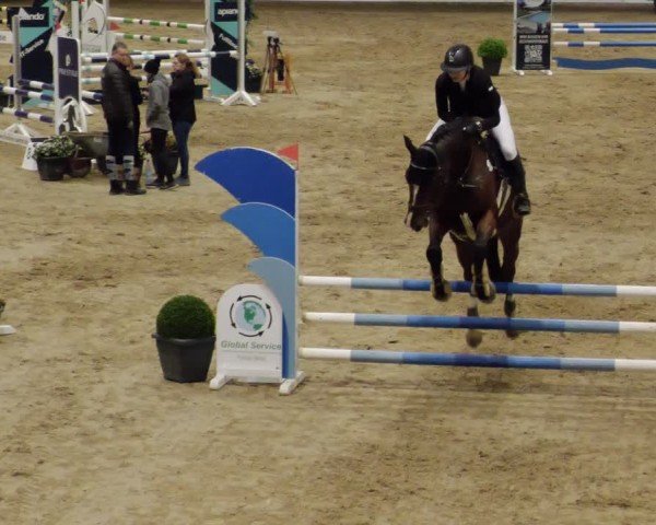 Reitturnier Neuwied 2024