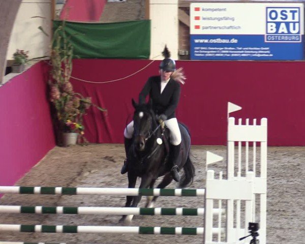 Reitturnier Krumke 2024