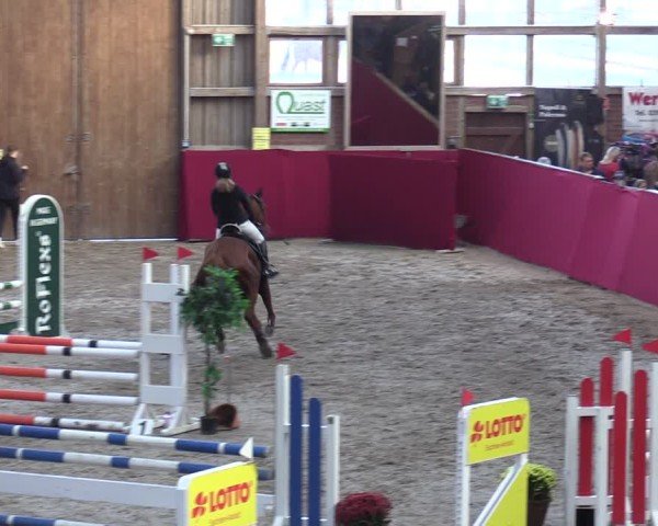 Reitturnier Krumke 2024