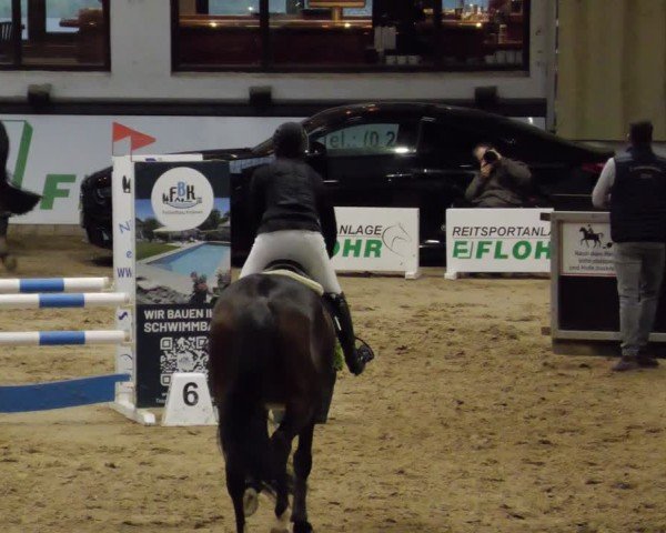 Reitturnier Neuwied 2024