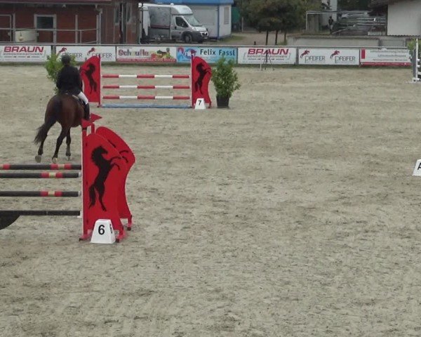 Reitturnier Achern 2024