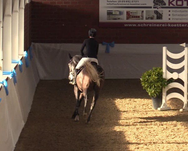 Reitturnier Gronau 2024