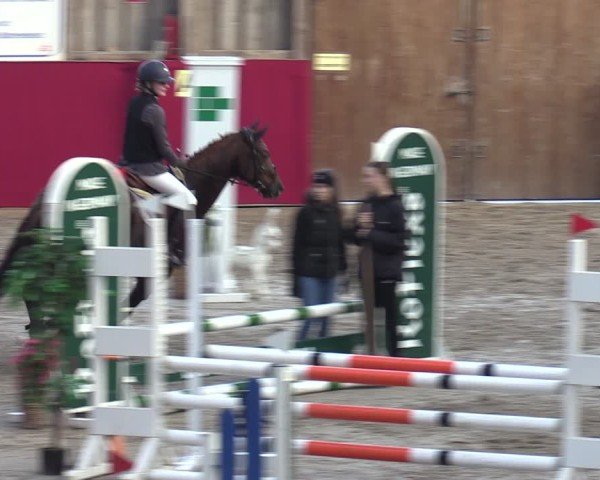 Reitturnier Krumke 2024