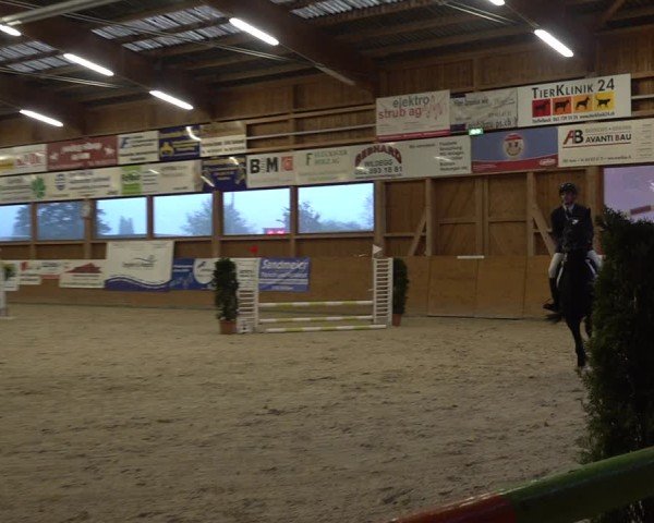 Reitturnier Holziken 2024