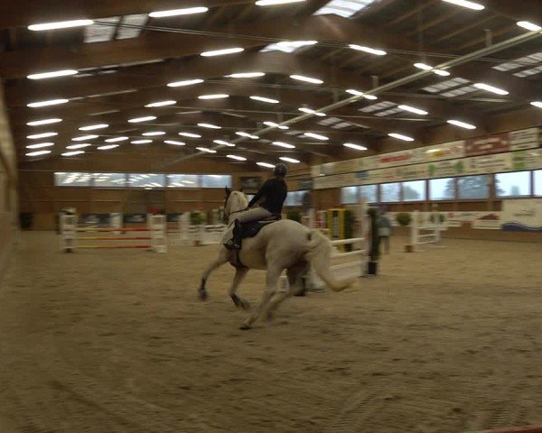 Reitturnier Holziken 2024