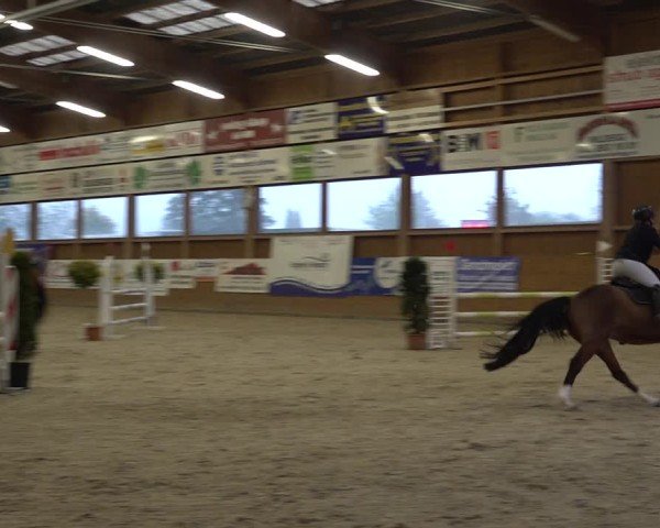 Reitturnier Holziken 2024