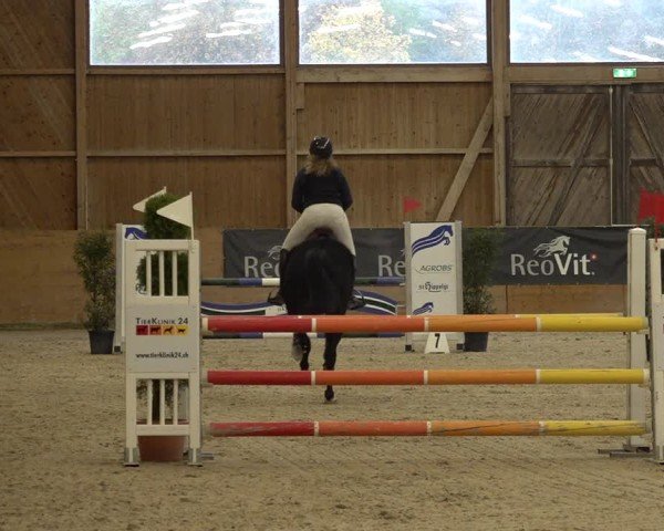 Reitturnier Holziken 2024