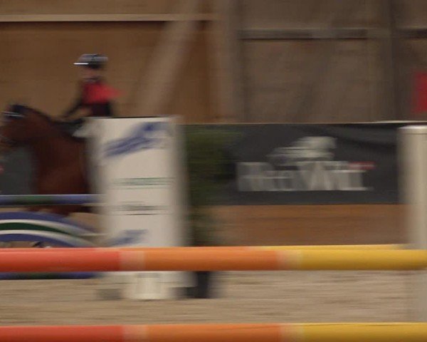 Reitturnier Holziken 2024