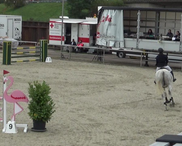 Reitturnier Achern 2024