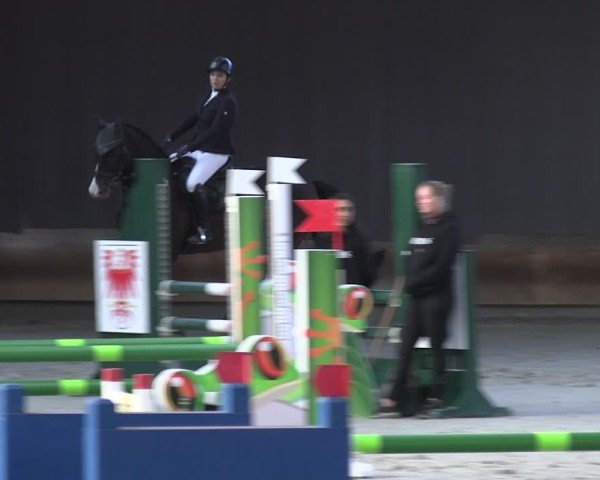 Reitturnier Tremsdorf, Eichenhof 2024