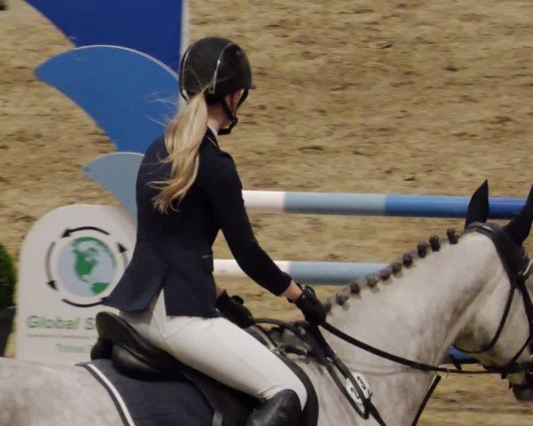 Reitturnier Neuwied 2024