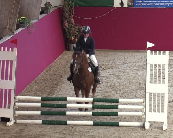 Reitturnier Krumke 2024