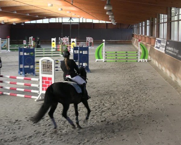 Reitturnier Tremsdorf, Eichenhof 2024