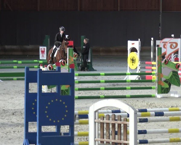 Reitturnier Tremsdorf, Eichenhof 2024