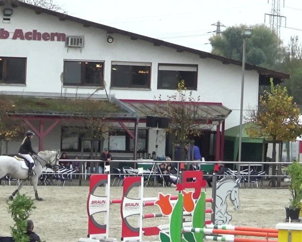Reitturnier Achern 2024