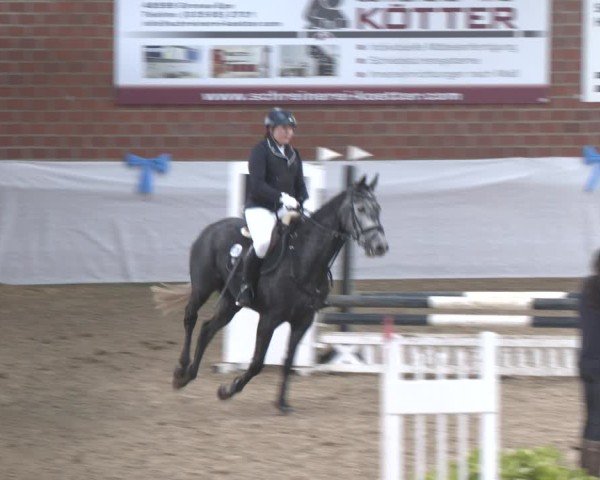 Reitturnier Gronau 2024