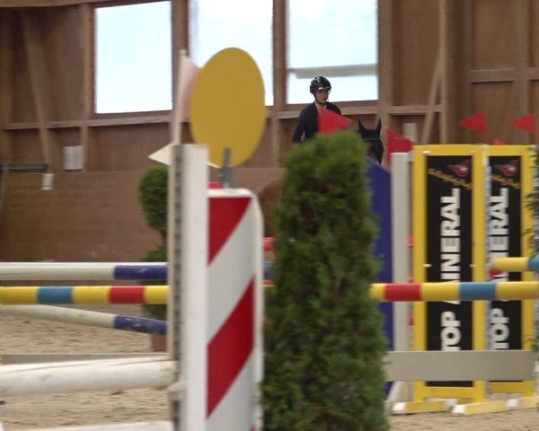 Reitturnier Holziken 2024