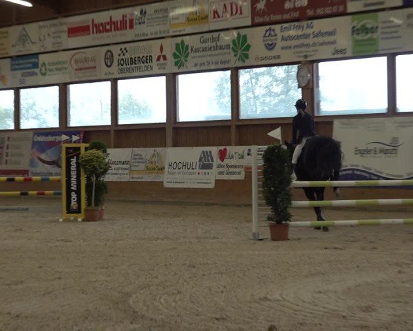 Reitturnier Holziken 2024