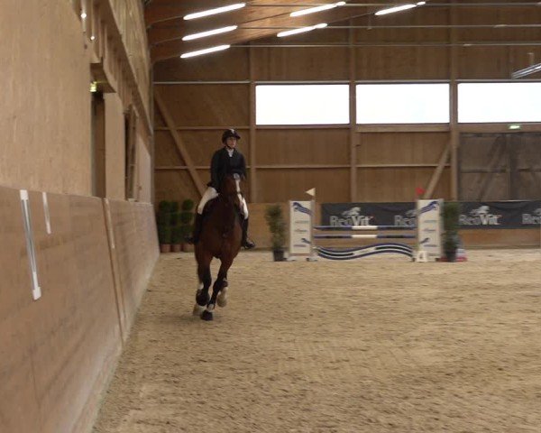Reitturnier Holziken 2024