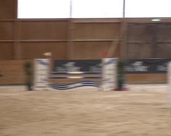 Reitturnier Holziken 2024