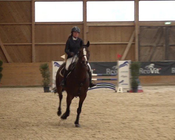 Reitturnier Holziken 2024