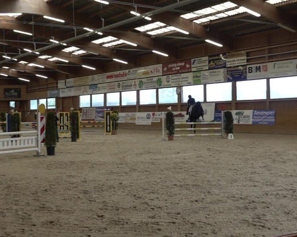 Reitturnier Holziken 2024