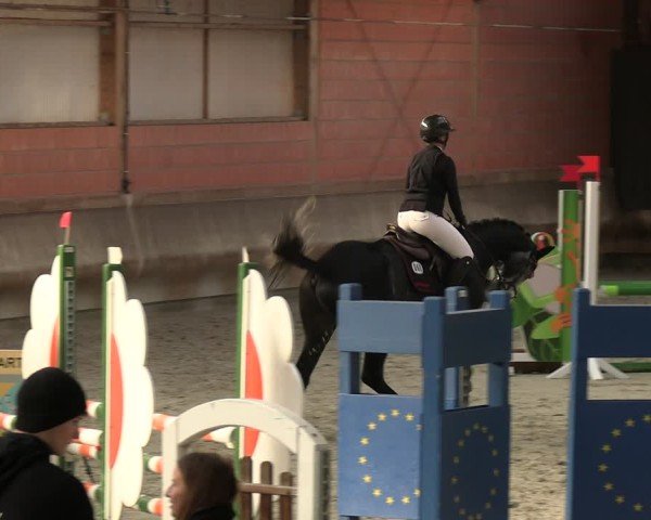 Reitturnier Tremsdorf, Eichenhof 2024