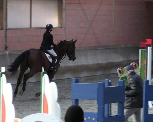 Reitturnier Tremsdorf, Eichenhof 2024