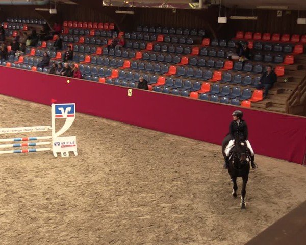 Reitturnier Krumke 2024