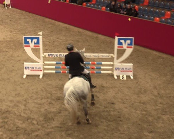Reitturnier Krumke 2024