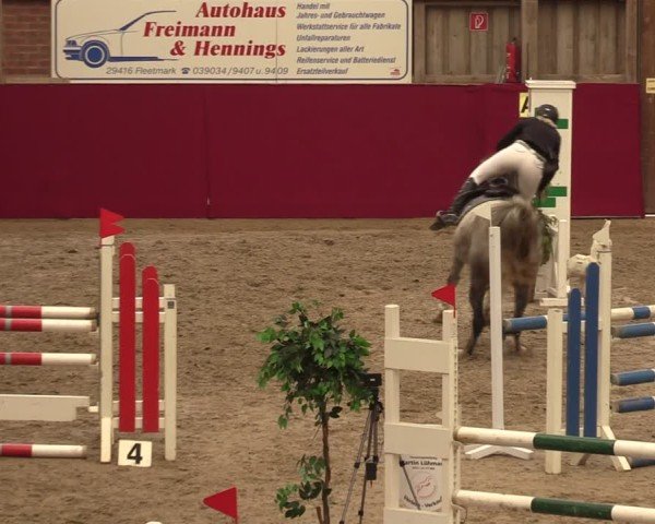 Reitturnier Krumke 2024
