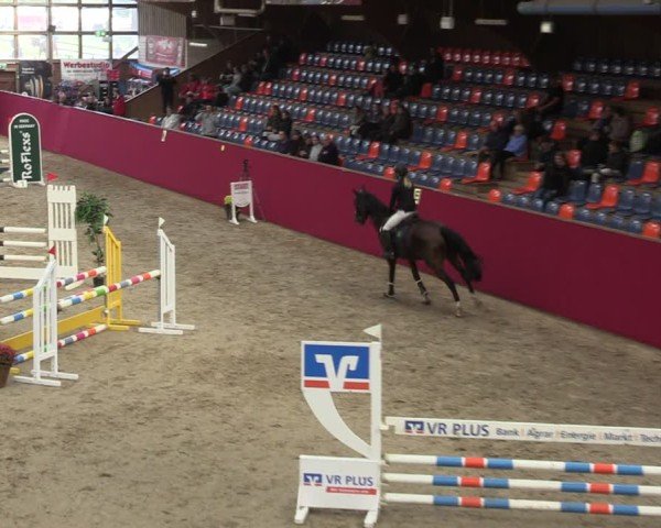 Reitturnier Krumke 2024