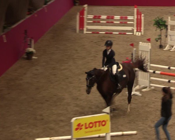 Reitturnier Krumke 2024