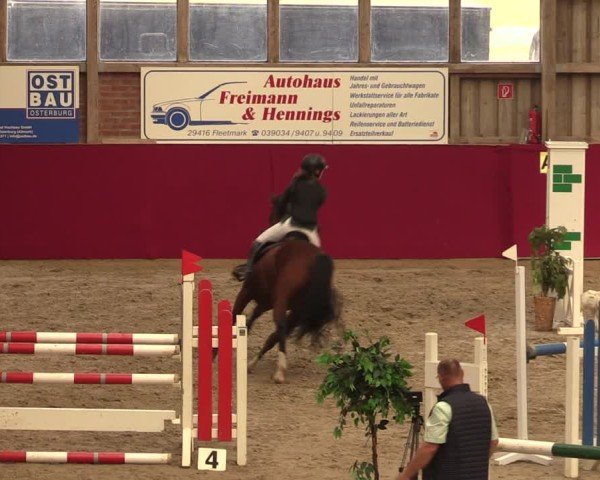 Reitturnier Krumke 2024