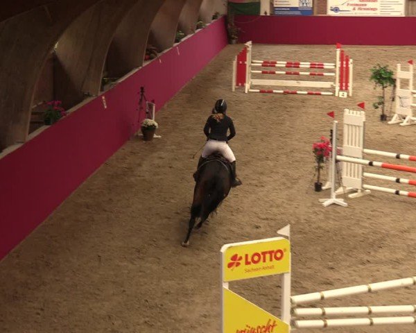 Reitturnier Krumke 2024