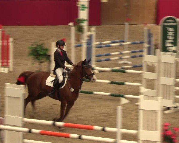 Reitturnier Krumke 2024